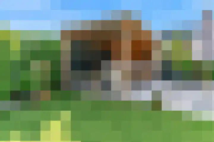 Jasmijnlint 26 Limmen thumbnail 38
