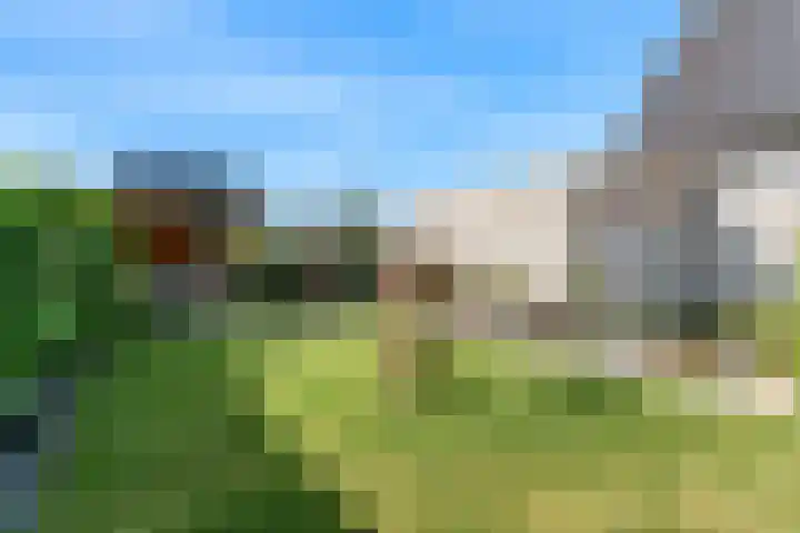 Jasmijnlint 26 Limmen thumbnail 4