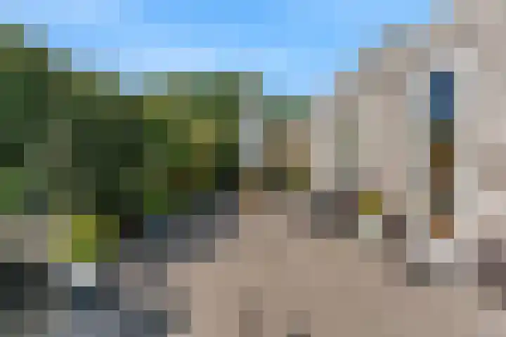Jasmijnlint 26 Limmen thumbnail 40