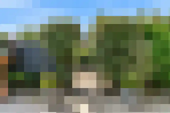 Jasmijnlint 26 Limmen thumbnail 41