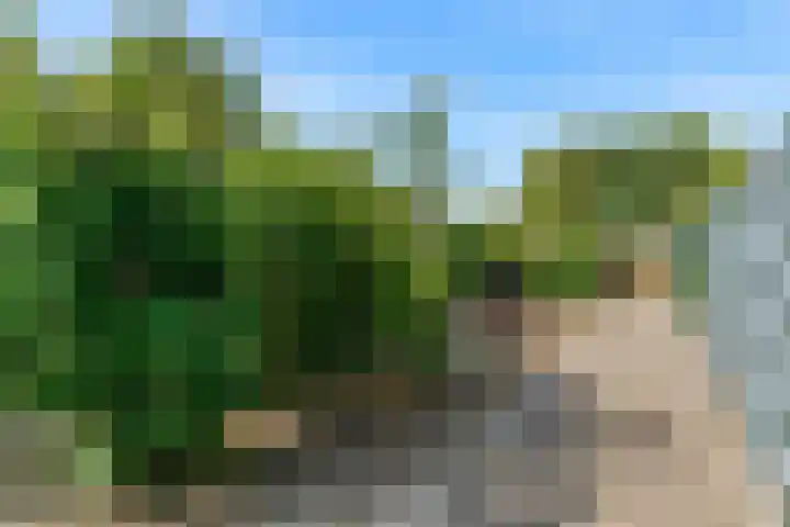 Jasmijnlint 26 Limmen thumbnail 42