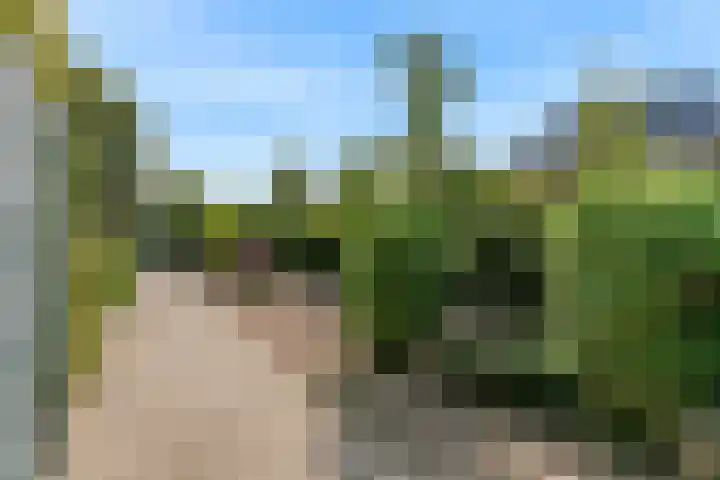 Jasmijnlint 26 Limmen thumbnail 43