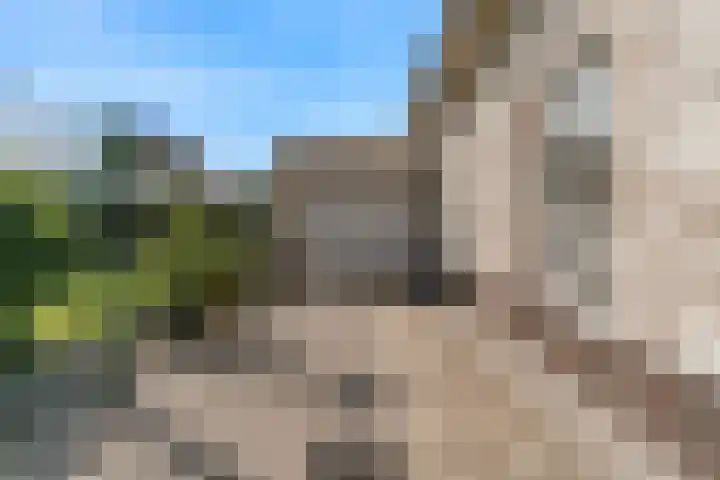 Jasmijnlint 26 Limmen thumbnail 44