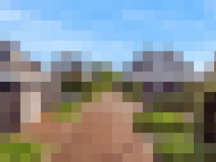 Jasmijnlint 26 Limmen thumbnail 45