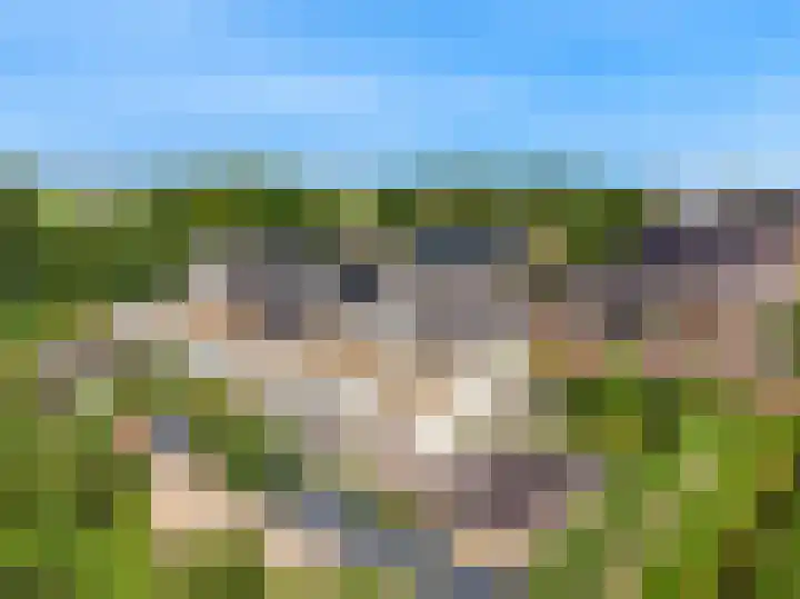 Jasmijnlint 26 Limmen thumbnail 6