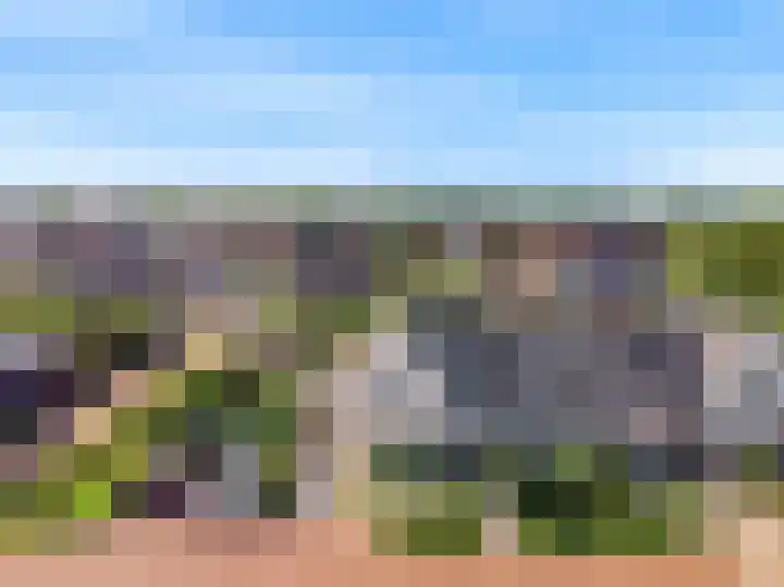 Jasmijnlint 26 Limmen thumbnail 7