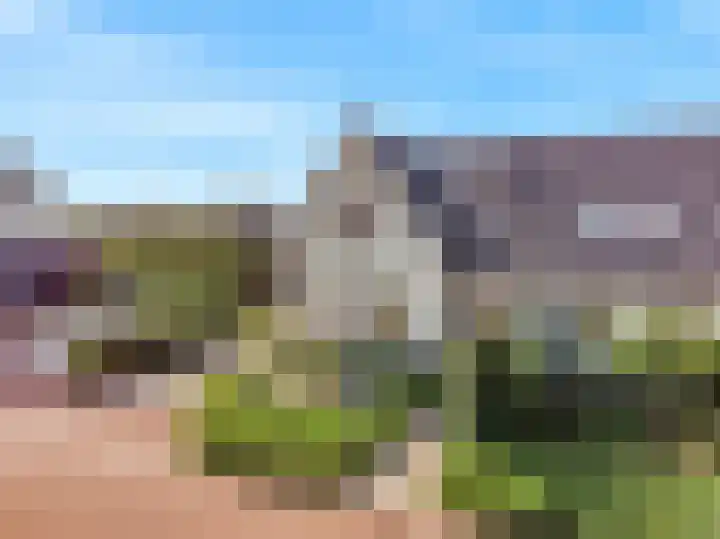 Jasmijnlint 26 Limmen thumbnail 9