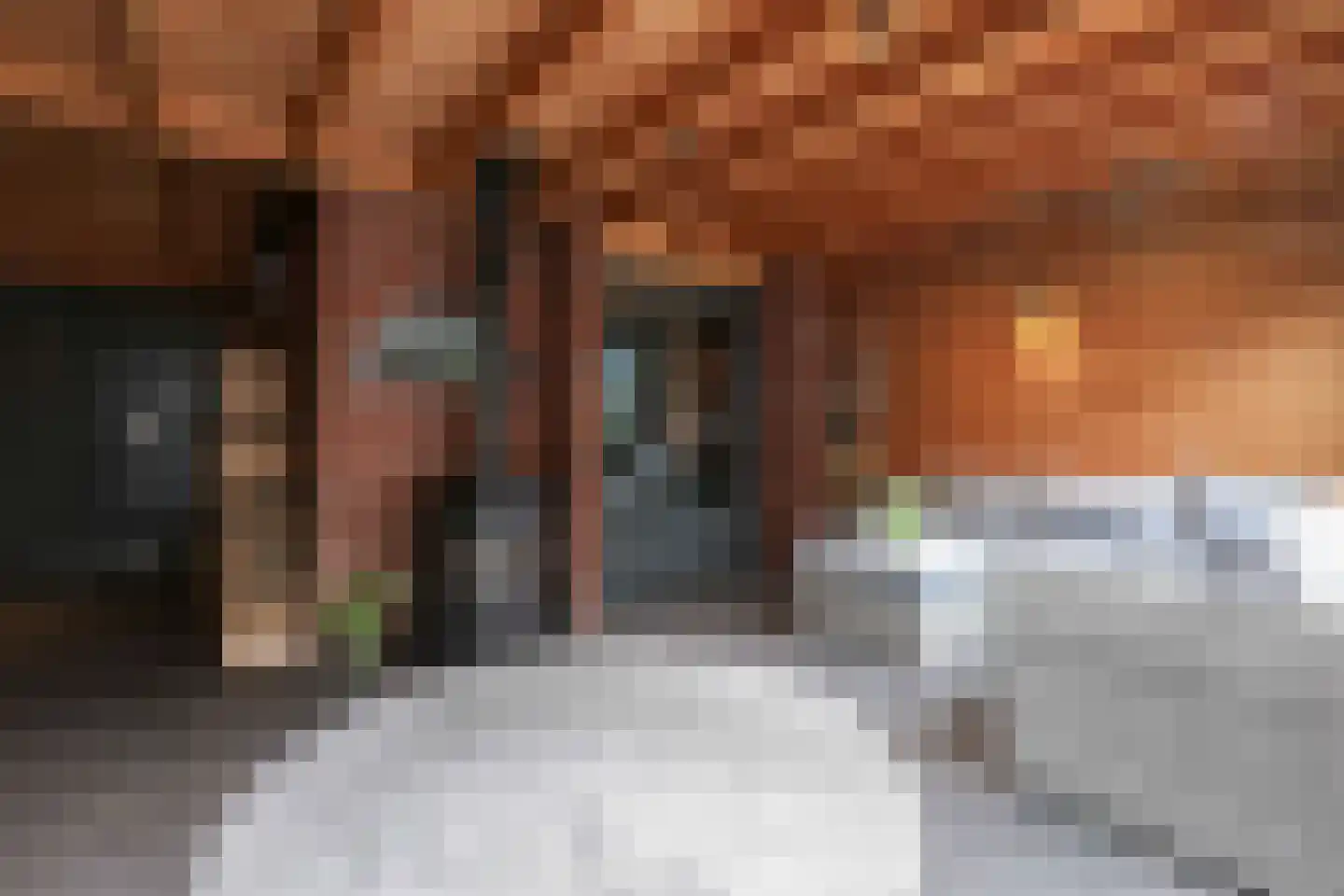 Jasmijnpad 8 Hoogland thumbnail 32