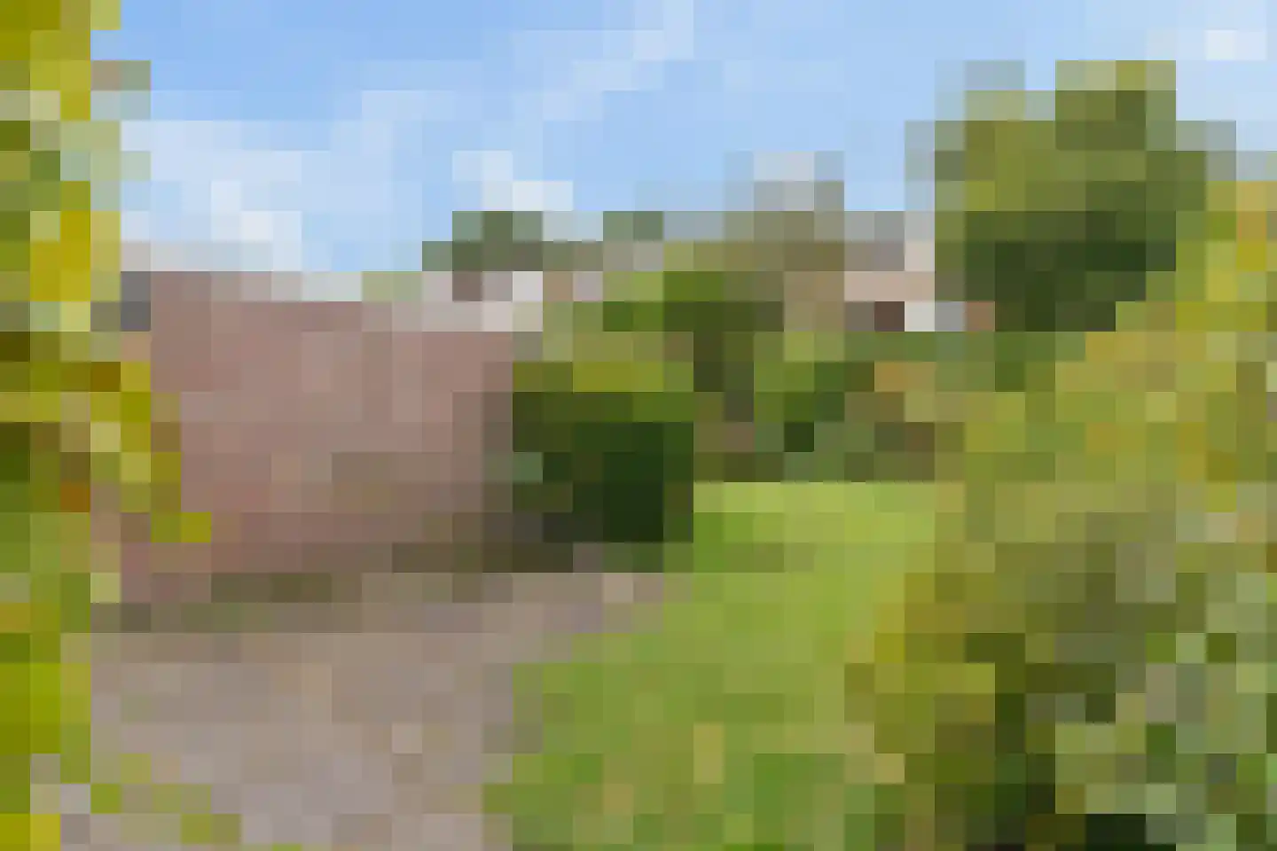 Jasmijnplantsoen 15 Rhenen thumbnail 27