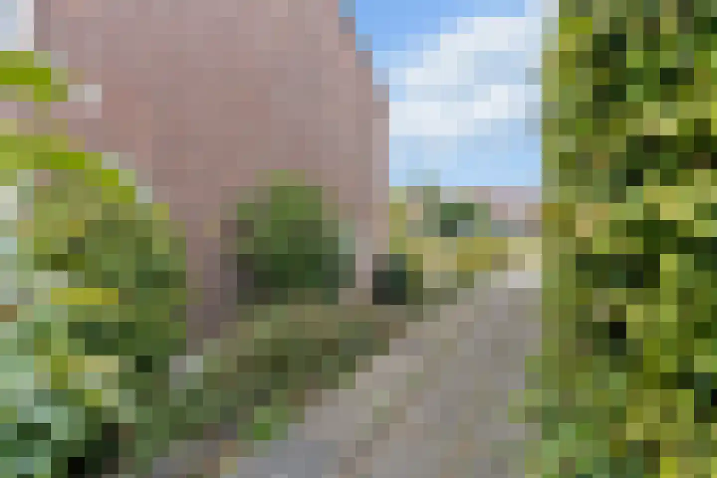 Jasmijnplantsoen 15 Rhenen thumbnail 30