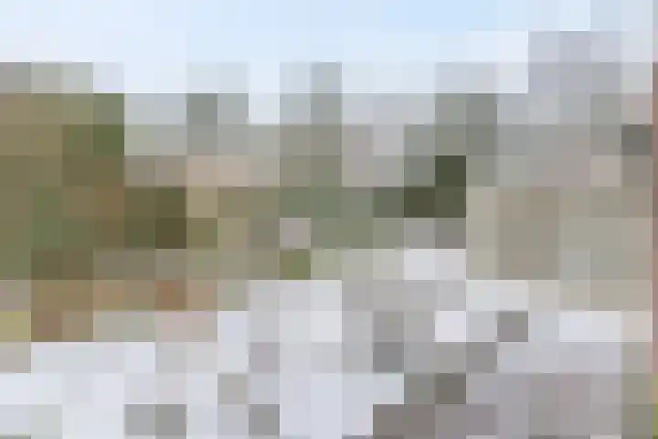 Jasmijnplantsoen 21 Rhenen thumbnail 30