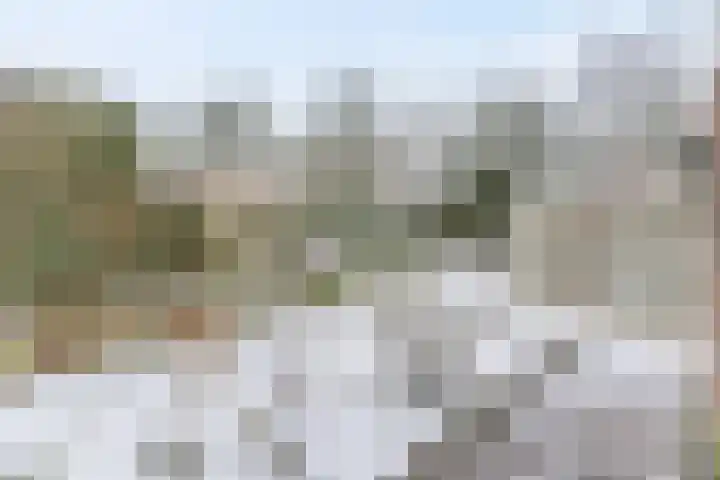 Jasmijnplantsoen 21 Rhenen thumbnail 4