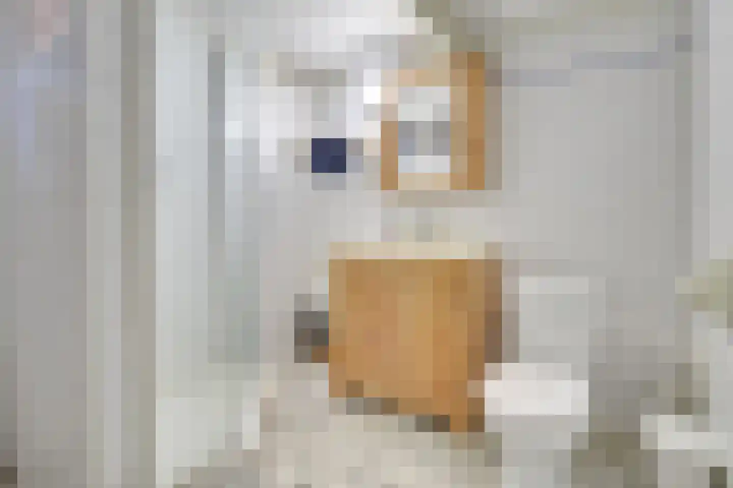 Jasmijnstraat 1 De Bilt thumbnail 18