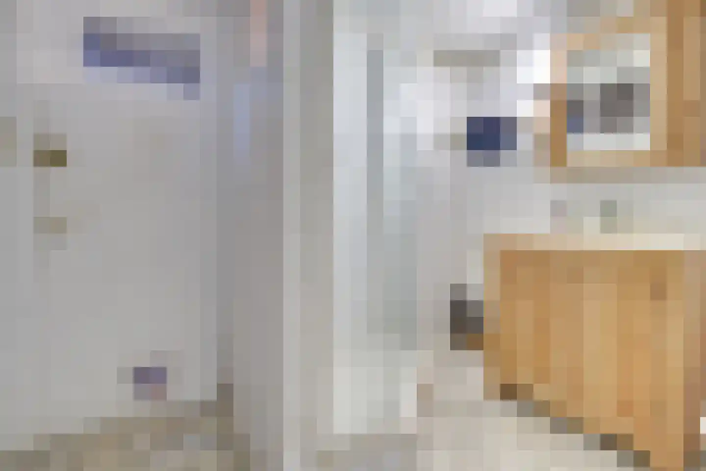 Jasmijnstraat 1 De Bilt thumbnail 20