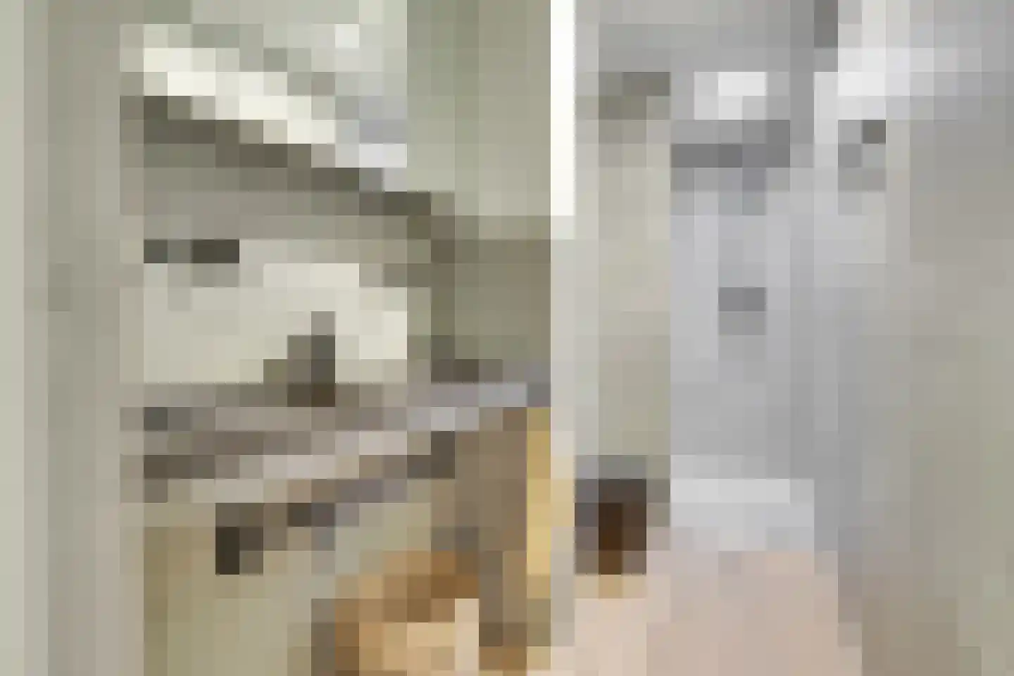 Jasmijnstraat 1 De Bilt thumbnail 28