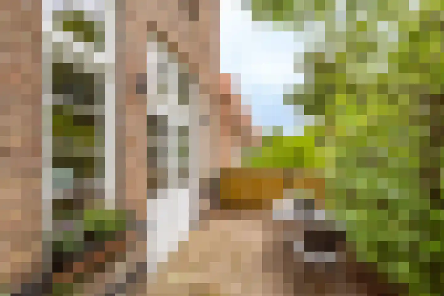 Jasmijnstraat 1 De Bilt thumbnail 40