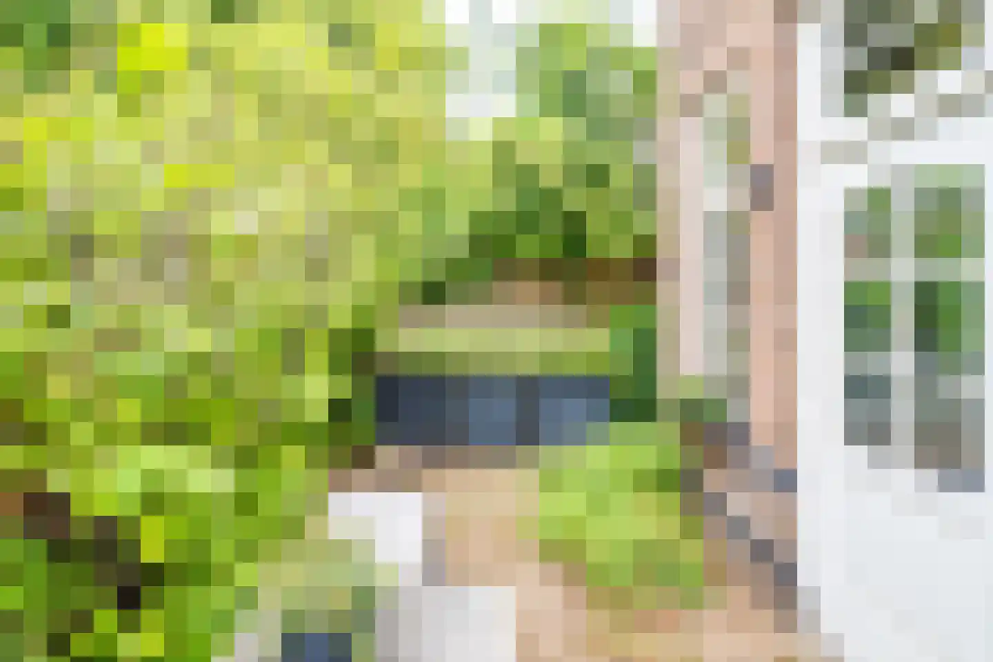 Jasmijnstraat 1 De Bilt thumbnail 41