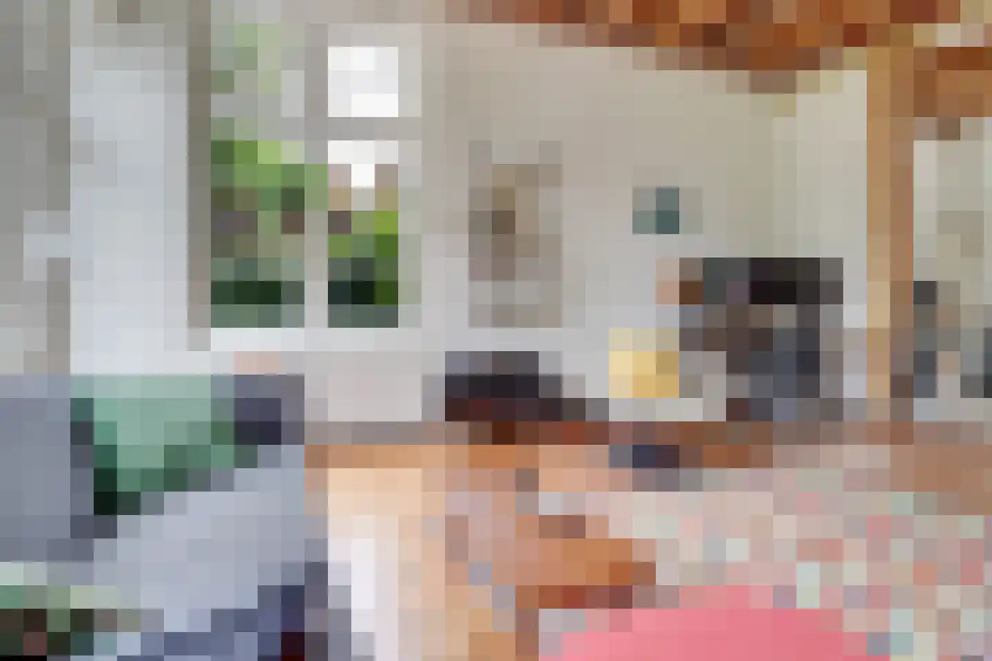 Jasmijnstraat 1 De Bilt thumbnail 5