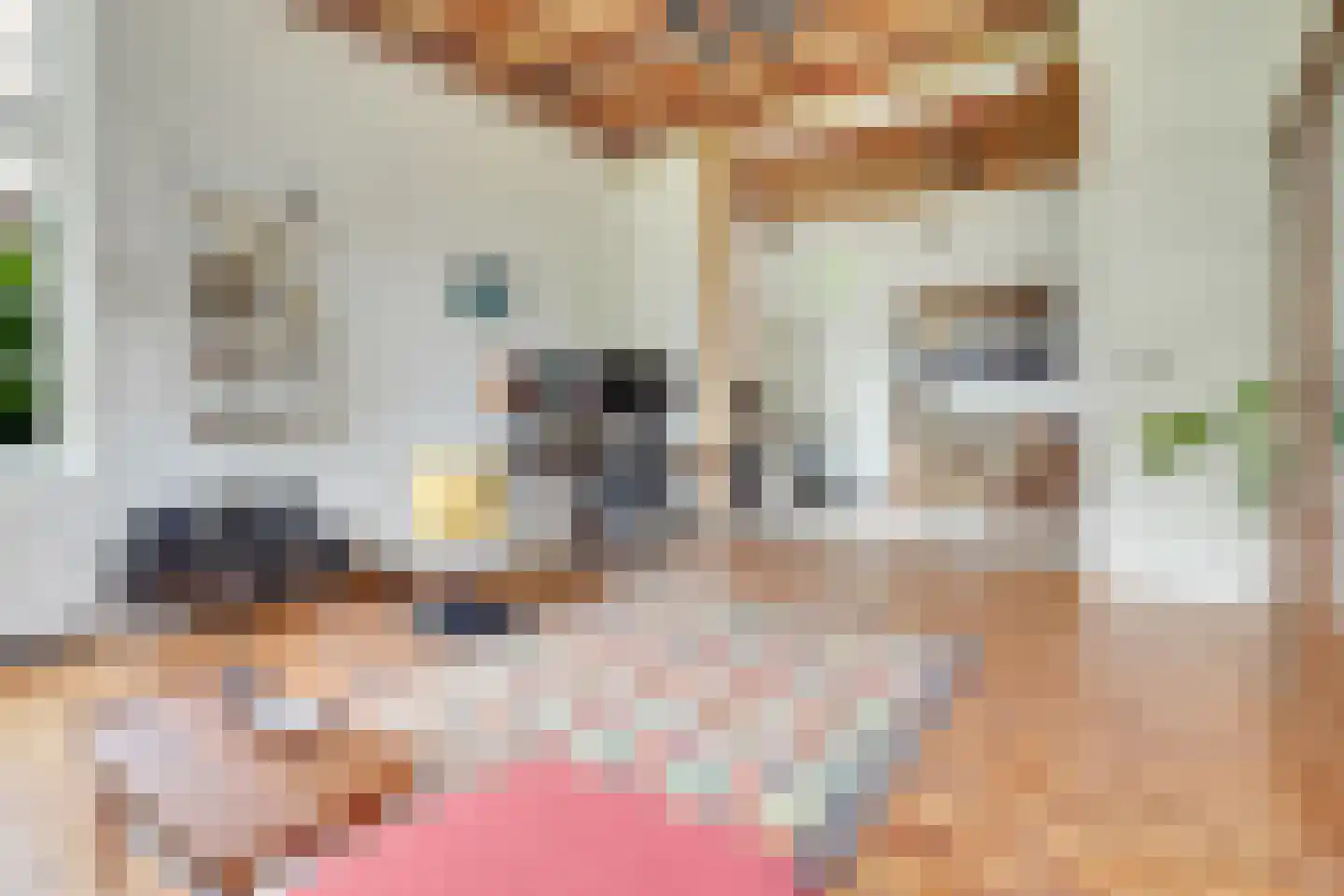 Jasmijnstraat 1 De Bilt thumbnail 9