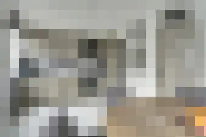 Jasmijnstraat 1 Made thumbnail 12