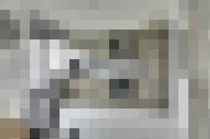 Jasmijnstraat 1 Made thumbnail 13