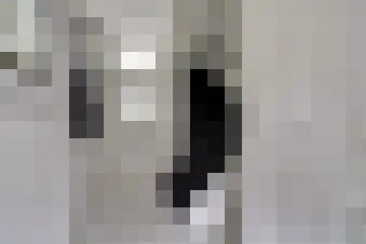Jasmijnstraat 1 Made thumbnail 15
