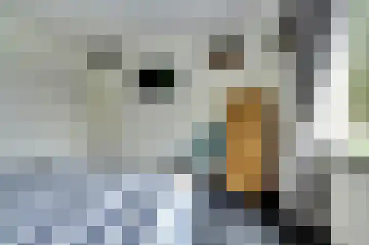 Jasmijnstraat 1 Made thumbnail 18