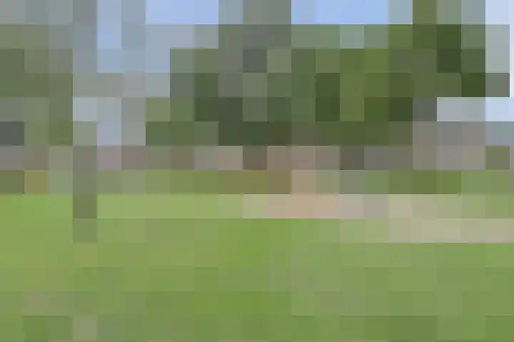Jasmijnstraat 1 Made thumbnail 36