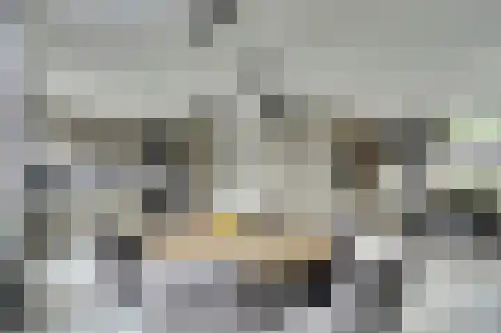 Jasmijnstraat 1 Made thumbnail 4