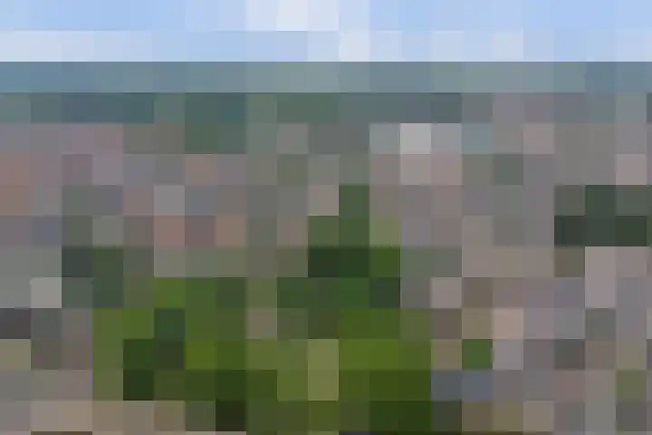 Jasmijnstraat 1 Made thumbnail 40