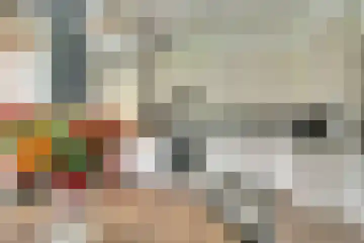 Jasmijnstraat 1 Son en Breugel thumbnail 13