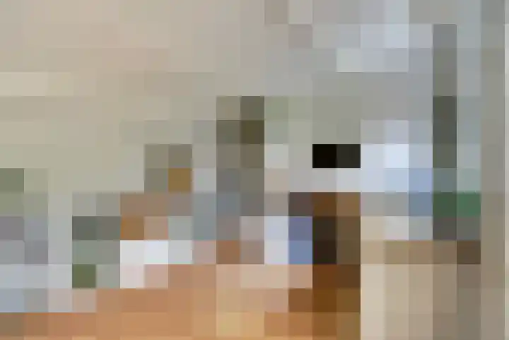 Jasmijnstraat 1 Son en Breugel thumbnail 20
