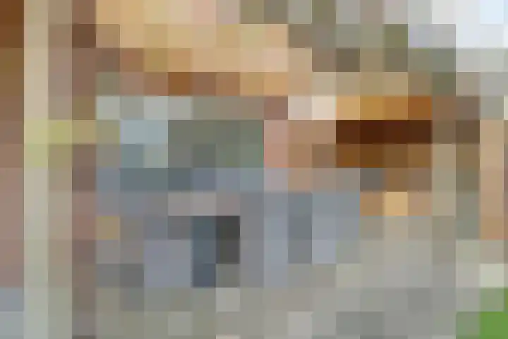Jasmijnstraat 1 Son en Breugel thumbnail 29