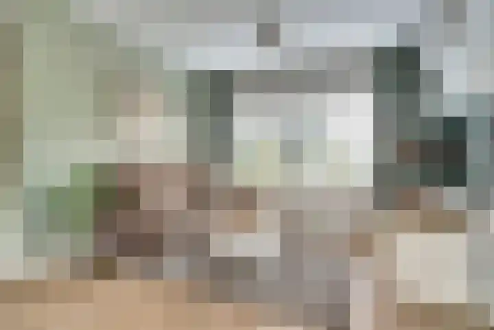Jasmijnstraat 1 Son en Breugel thumbnail 4