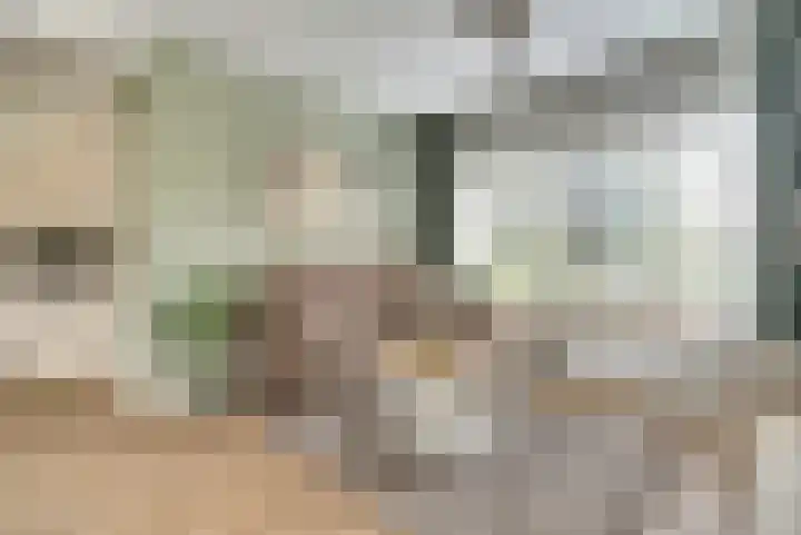 Jasmijnstraat 1 Son en Breugel thumbnail 9