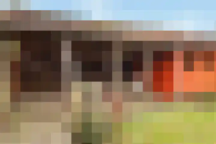 Jasmijnstraat 10 De Bilt thumbnail 27