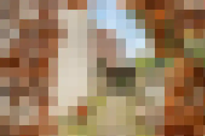 Jasmijnstraat 10 De Bilt thumbnail 31