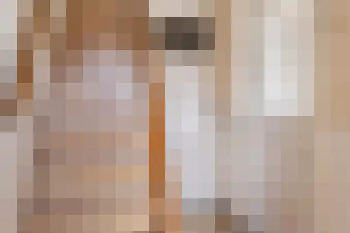 Jasmijnstraat 10 De Bilt thumbnail 5