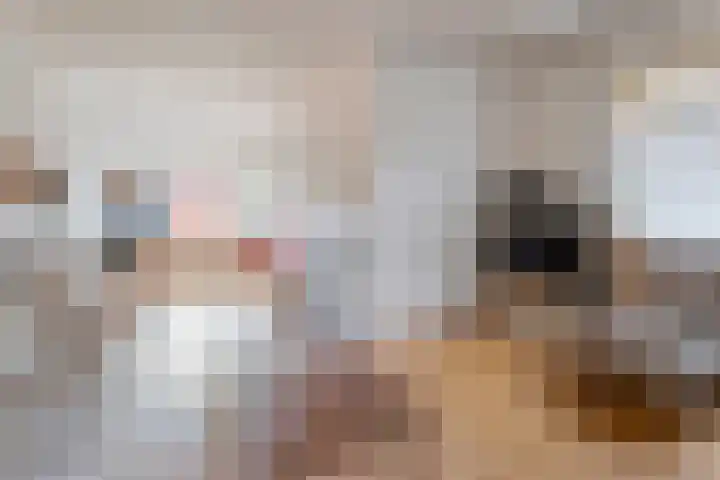 Jasmijnstraat 10 De Bilt thumbnail 7