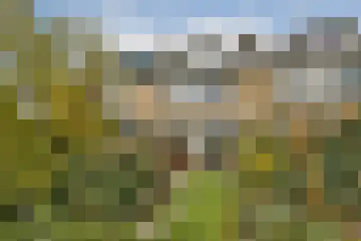 Jasmijnstraat 10 Dordrecht thumbnail 5