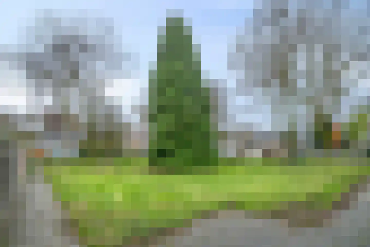 Jasmijnstraat 11 Nuenen thumbnail 24