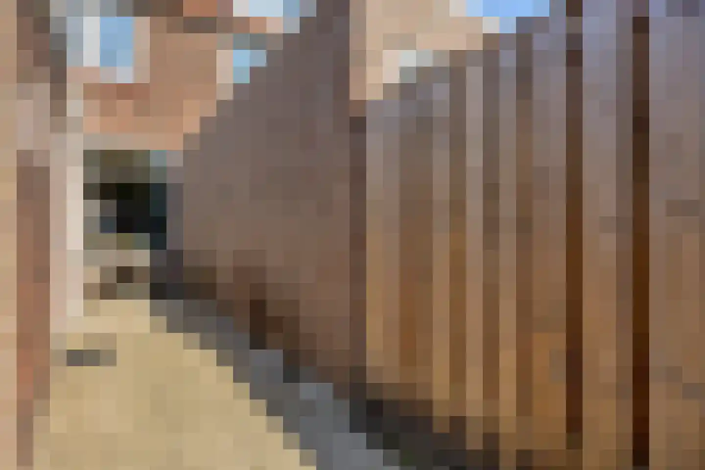 Jasmijnstraat 11 Tilburg thumbnail 23