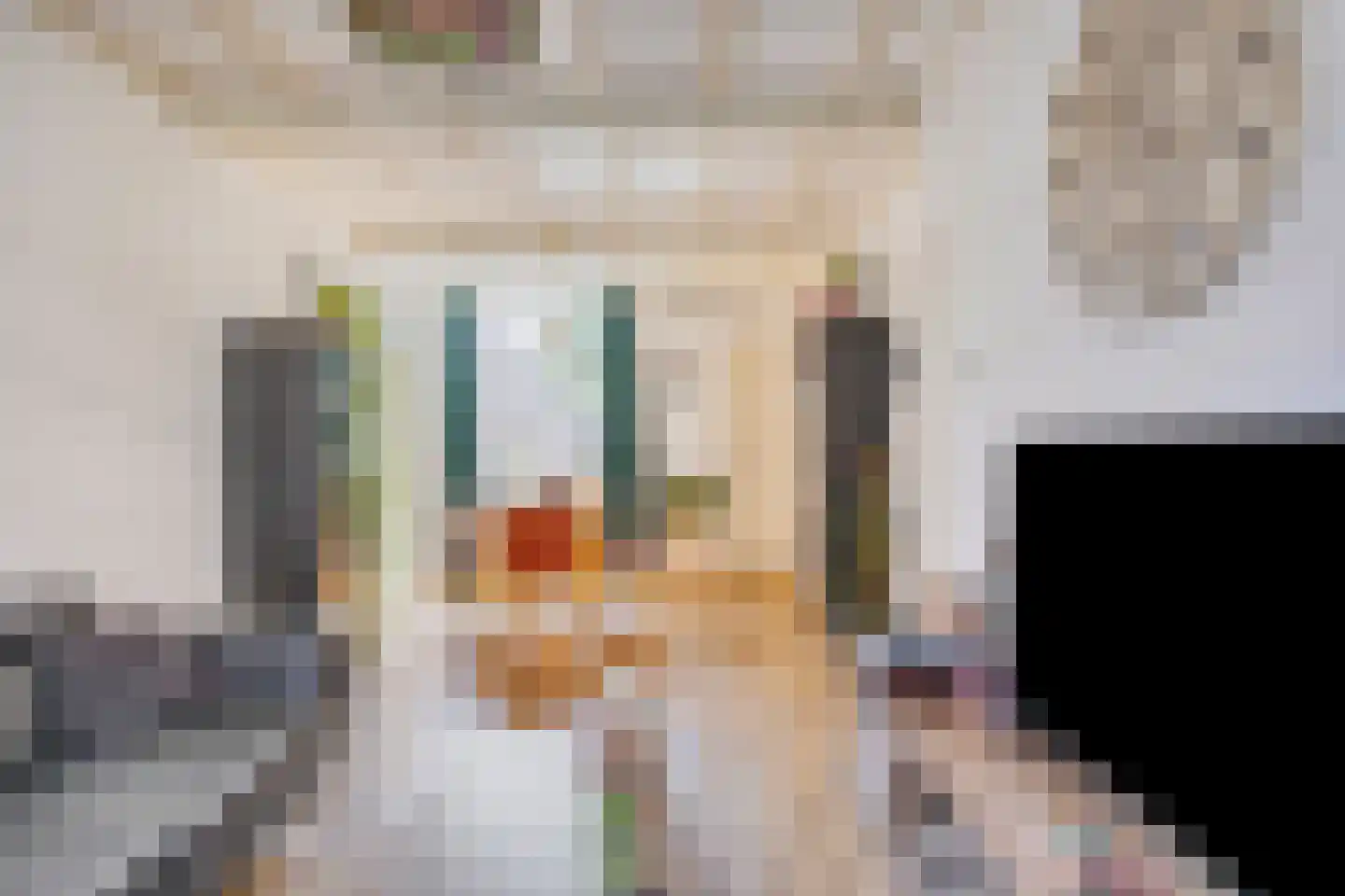 Jasmijnstraat 11 Tilburg thumbnail 6