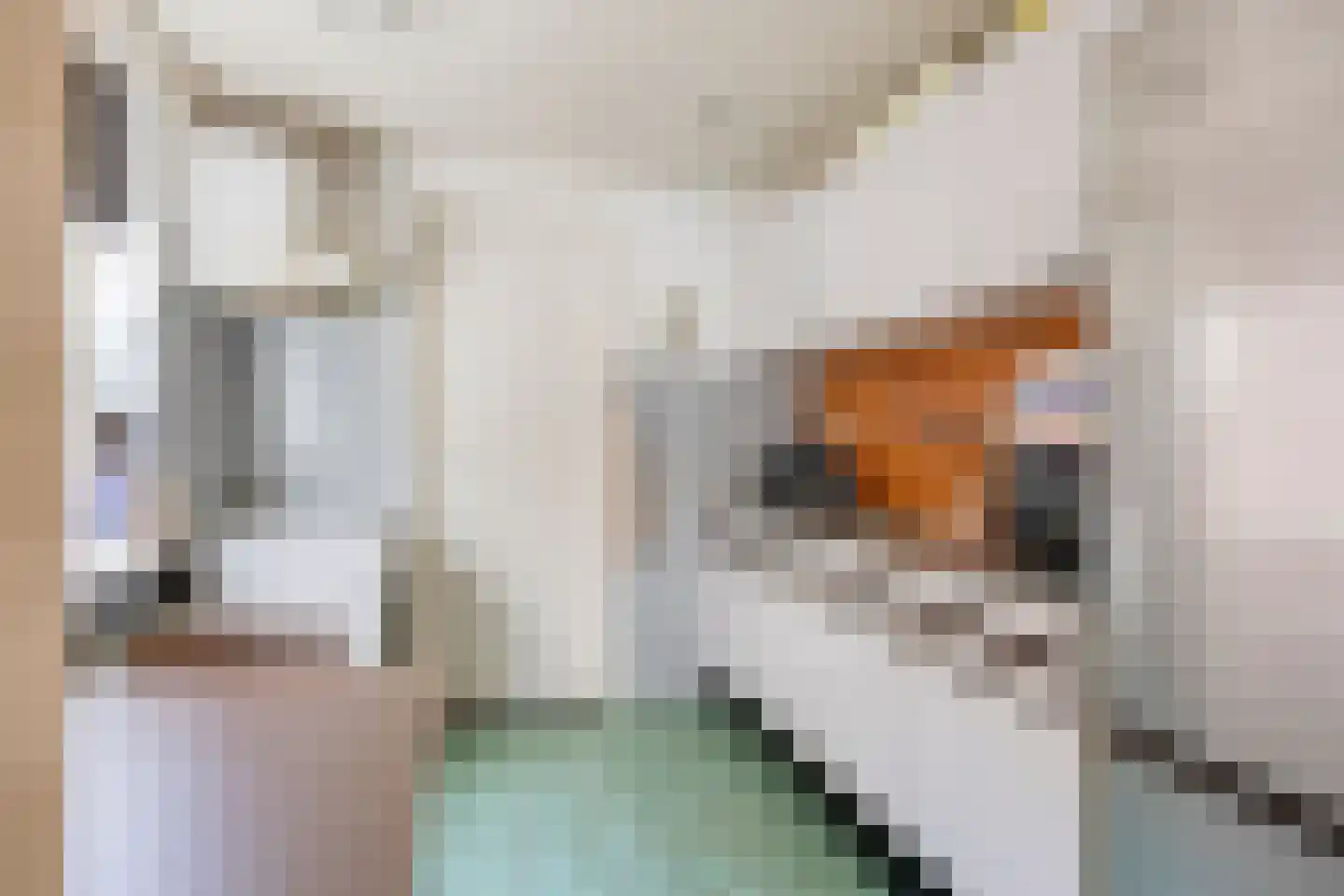 Jasmijnstraat 11 Tilburg thumbnail 9