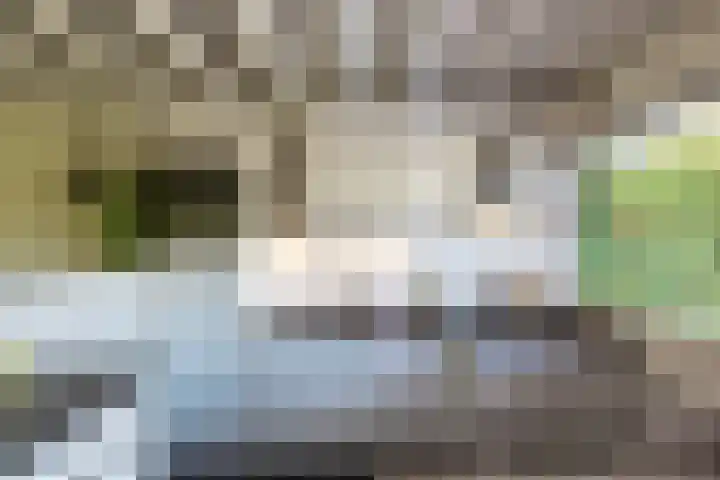 Jasmijnstraat 11 Winsum thumbnail 10