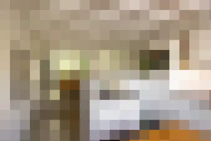 Jasmijnstraat 11 Winsum thumbnail 12