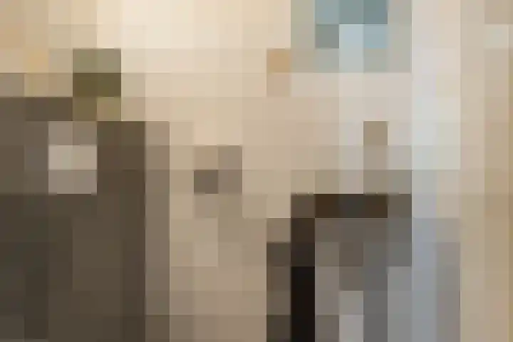 Jasmijnstraat 11 Winsum thumbnail 15
