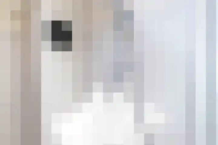 Jasmijnstraat 11 Winsum thumbnail 17