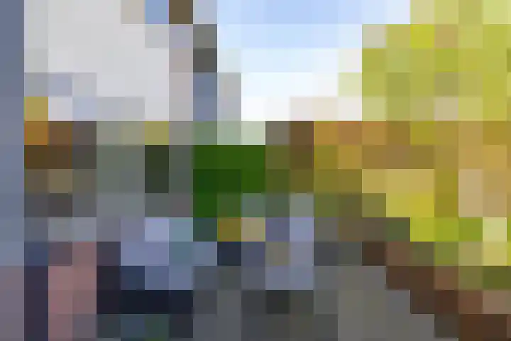 Jasmijnstraat 11 Winsum thumbnail 26