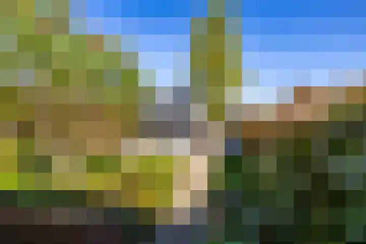 Jasmijnstraat 11 Winsum thumbnail 27